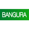 Bangura Solutions